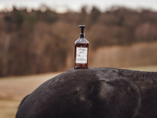 SkinPET® Chlorhex Shampoo 4,0%