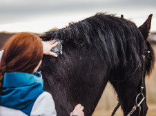 SkinPET® Chlorhex Shampoo 4,0%