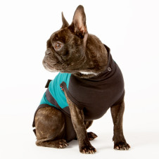 SkinPET® Pooperačné tričko, zelené